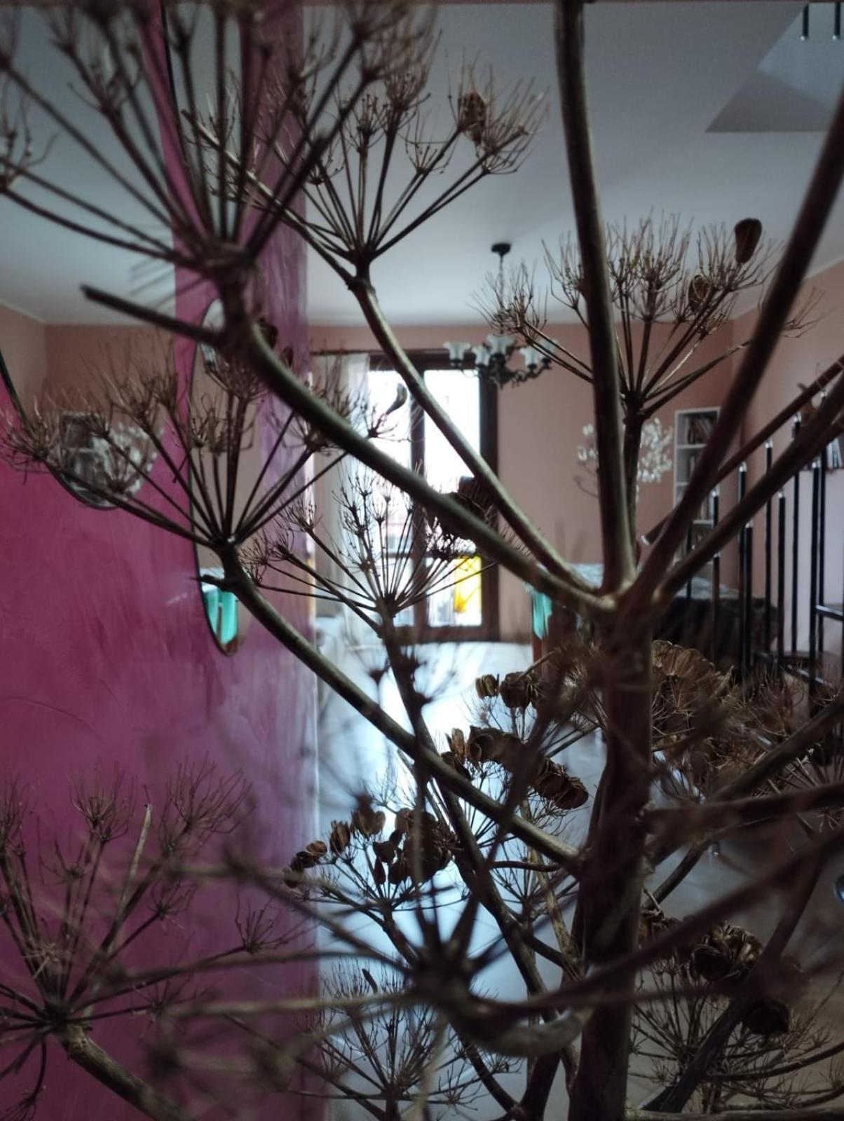 Bed and Breakfast Ferula Loft Sortino Exteriér fotografie